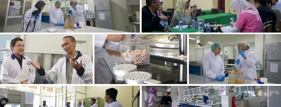 Use of FAO Assessment Tool for Laboratories and AMR Surveillance Systems (FAO-ATLASS) for ASEAN 