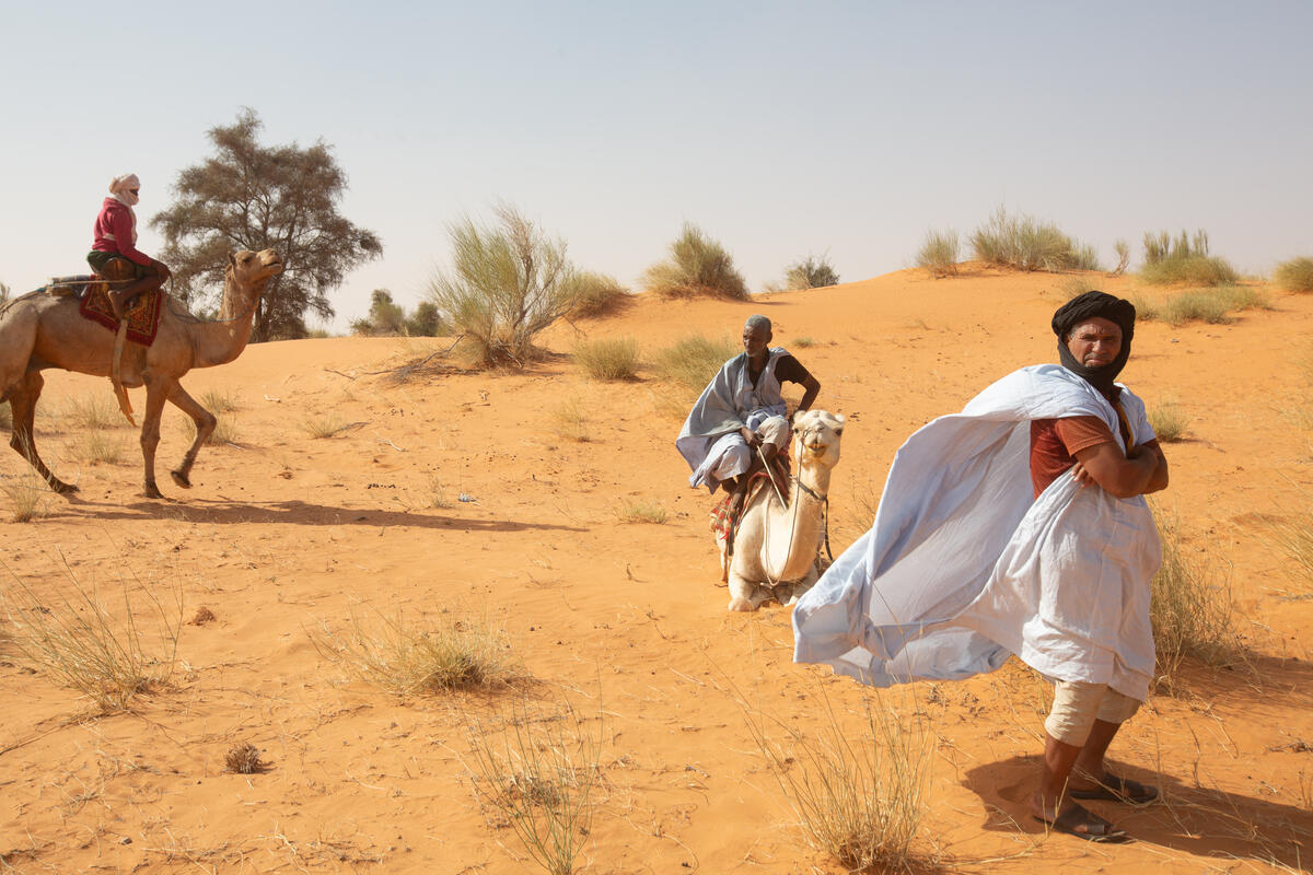 Cours en ligne d'introduction au concept « Une seule santé » pour l'Afrique du Nord