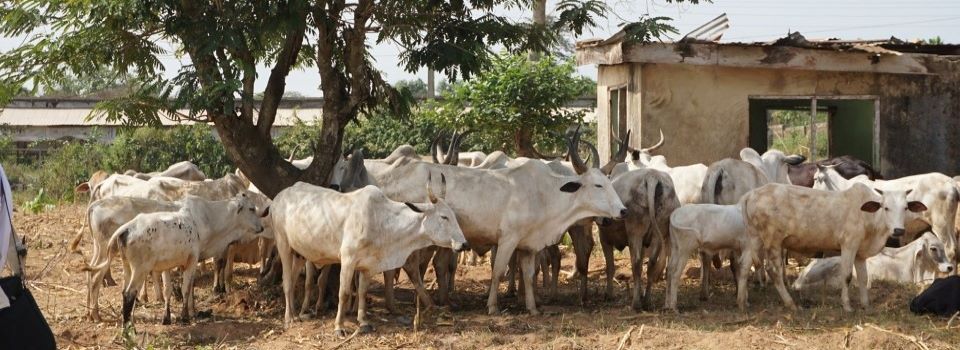 Unit One - Uganda Growing Your Business Through Preventive Livestock Healthcare