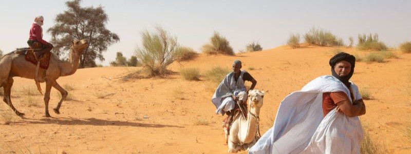 Cours en ligne d'introduction au concept « Une seule santé » pour l'Afrique de l'Ouest