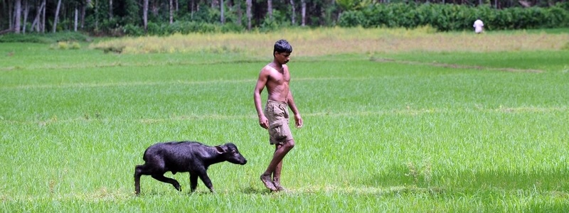 Introduction to One Health for Sri Lanka