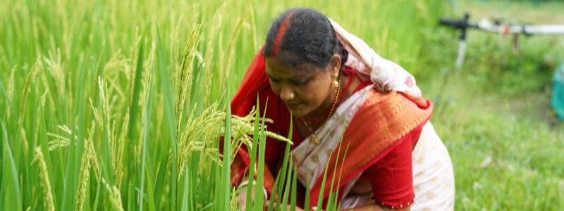 Introduction to One Health for India