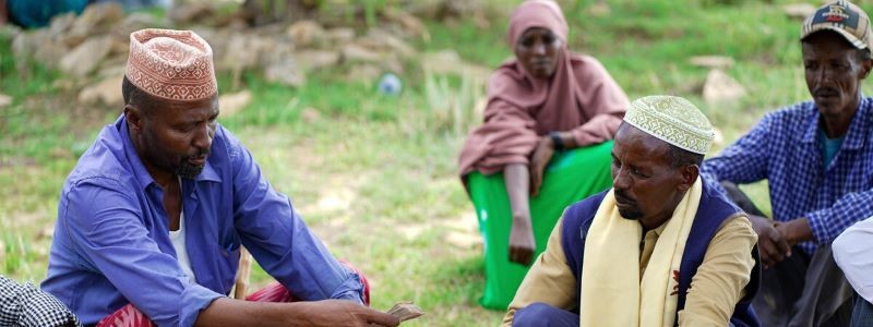 Evaluating the Value of One Health  