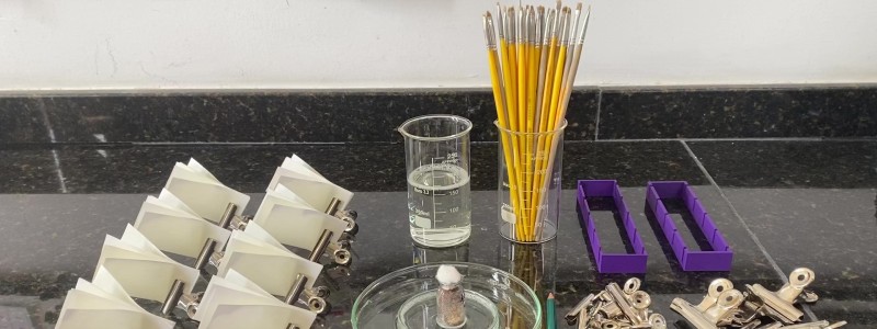 Acaricide resistance in vitro tick bioassays