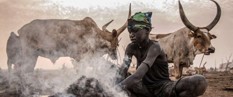 Rift valley fever pilot