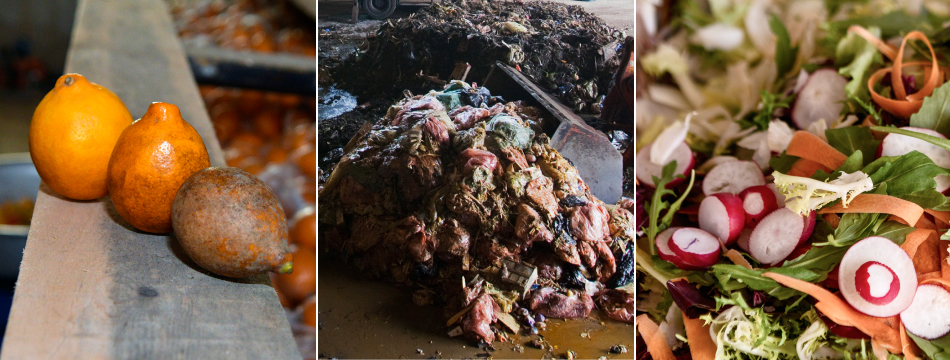 Tackling Food Loss and Waste across the agrifood systems