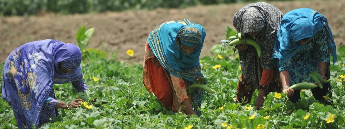 Introduction to One Health for Pakistan